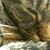 :iconvalentine14: