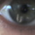 :iconvalentinelost: