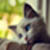 :iconvalentinok: