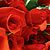 :iconvaleor-angel: