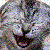 :iconvaliance-la-puck:
