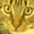 :iconvalkry: