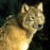 :iconvalkurmdunehead: