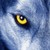 :iconvalkyrie09: