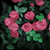 :iconvall19: