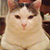 :iconvalmert: