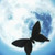 :iconvalocarton: