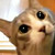 :iconvalorneptune: