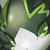 :iconvalossa: