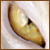 :iconValr: