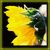 :iconvalsphotos: