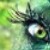 :iconvaltibest: