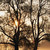 :iconvamp1024: