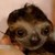 :iconvampairious-kun: