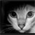 :iconvampfish: