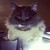 :iconvampimummy: