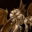 :iconvampira-no-hime: