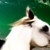 :iconvampirategirl: