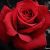 :iconvampire-girl-mady: