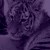 :iconvampireblacktiger: