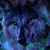 :iconvampiredclbmg: