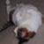 :iconvampireguy95: