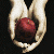 :iconvampirelover0423: