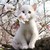 :iconvampirepudding: