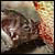 :iconvampirerevenant: