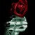 :iconvampires-roses:
