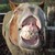 :iconvampiress1600: