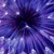 :iconvampiressscorpio: