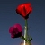 :iconvampiretala: