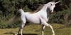 :iconvampireunicorns: