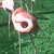 :iconvampirexdemonxgirl: