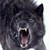 :iconvampiric-werewolf: