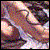 :iconvampyr-writer: