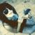 :iconvanalden: