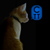 :iconVanci3l: