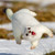 :iconvand3r: