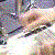 :iconvandaliaisgrey: