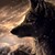 :iconvanessathewolf123: