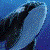 :iconvanflyheart: