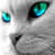 :iconvanhavere:
