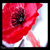 :iconvaniaraindrop: