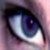 :iconvanilla-riot: