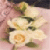 :iconvanillaroses: