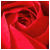 :iconvanillatears: