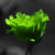:iconvanishedrh: