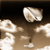 :iconvanishtwenty: